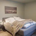 Staying Apt 5 - New And Modern