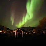 Koselig Dyregard I Tromso