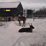 Nice And Warm Apartment With Free Parking