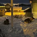 Nice And Warm Apartment With Free Parking