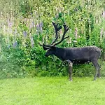 Leilighet I Nord