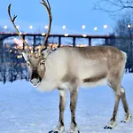 High End Apartment - Tromso City
