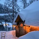 Koselig Dyregard I Tromso