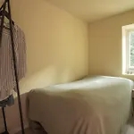 Luxury Top Floor Apartment