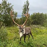 My Home Kaldfjorden