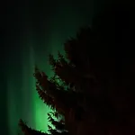 Tromsdalen Apt 1 - Free Parking