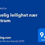 Koselig Leilighet Naer Sentrum