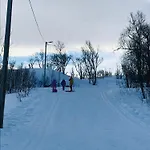 Aurora Borealis