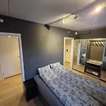 Corner Apartment Vervet