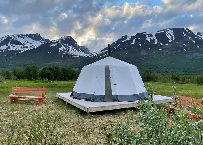Tromso Lapland Reindeer Farm