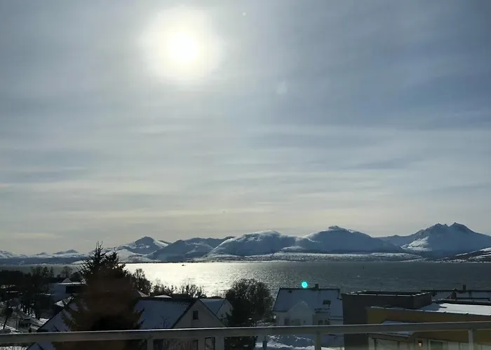Arctic Homestay With Northern Light Viewpoint