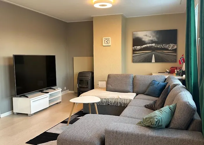 Koselig Rom I Leilighet Med Felles Fasiliteter