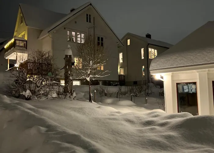 Cozy Northern Light Central Apartment