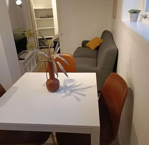 Cozy Apartment Close To Downtown
