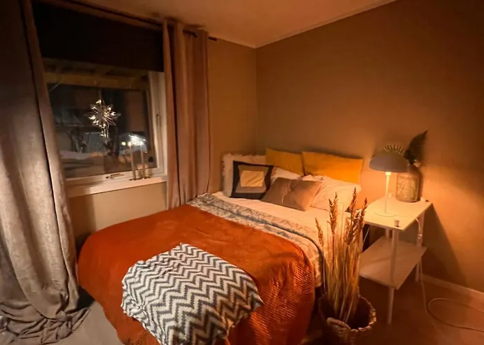 Aurora Skies Studio