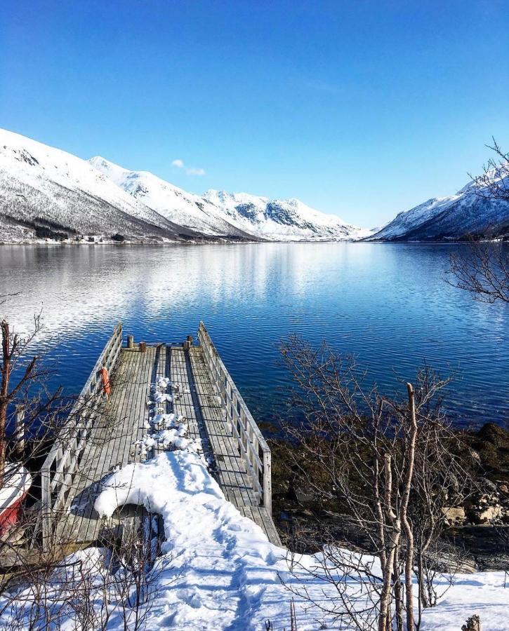 Homestay Melishome: Aurora Observatory Tromso