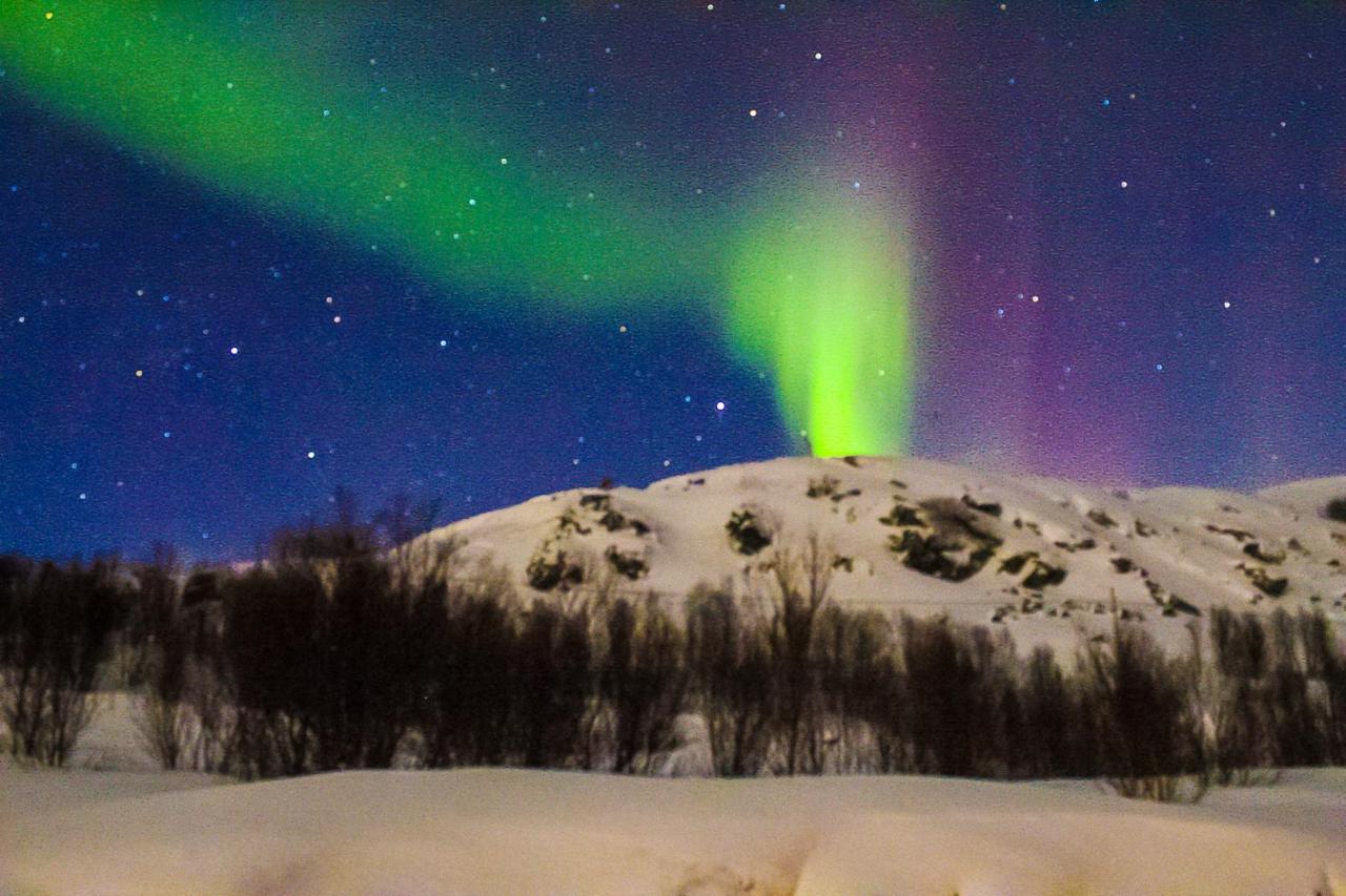 Homestay Melishome: Aurora Observatory