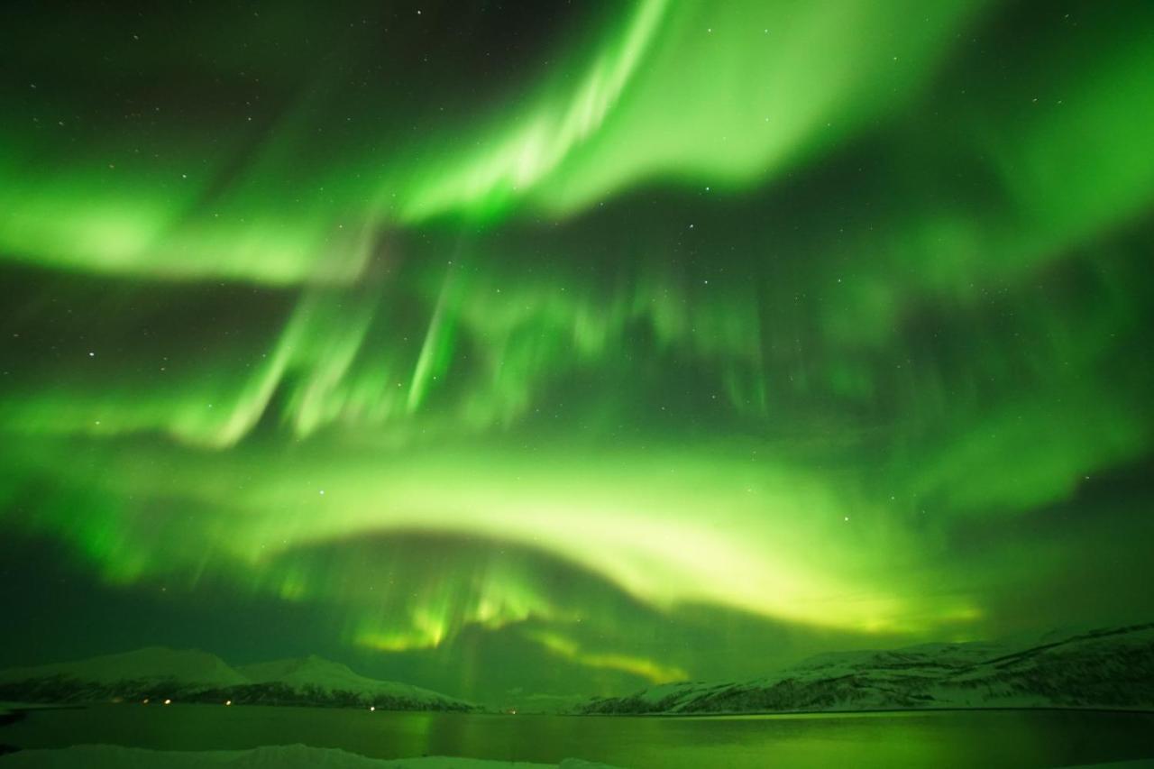 Arctic Mary *