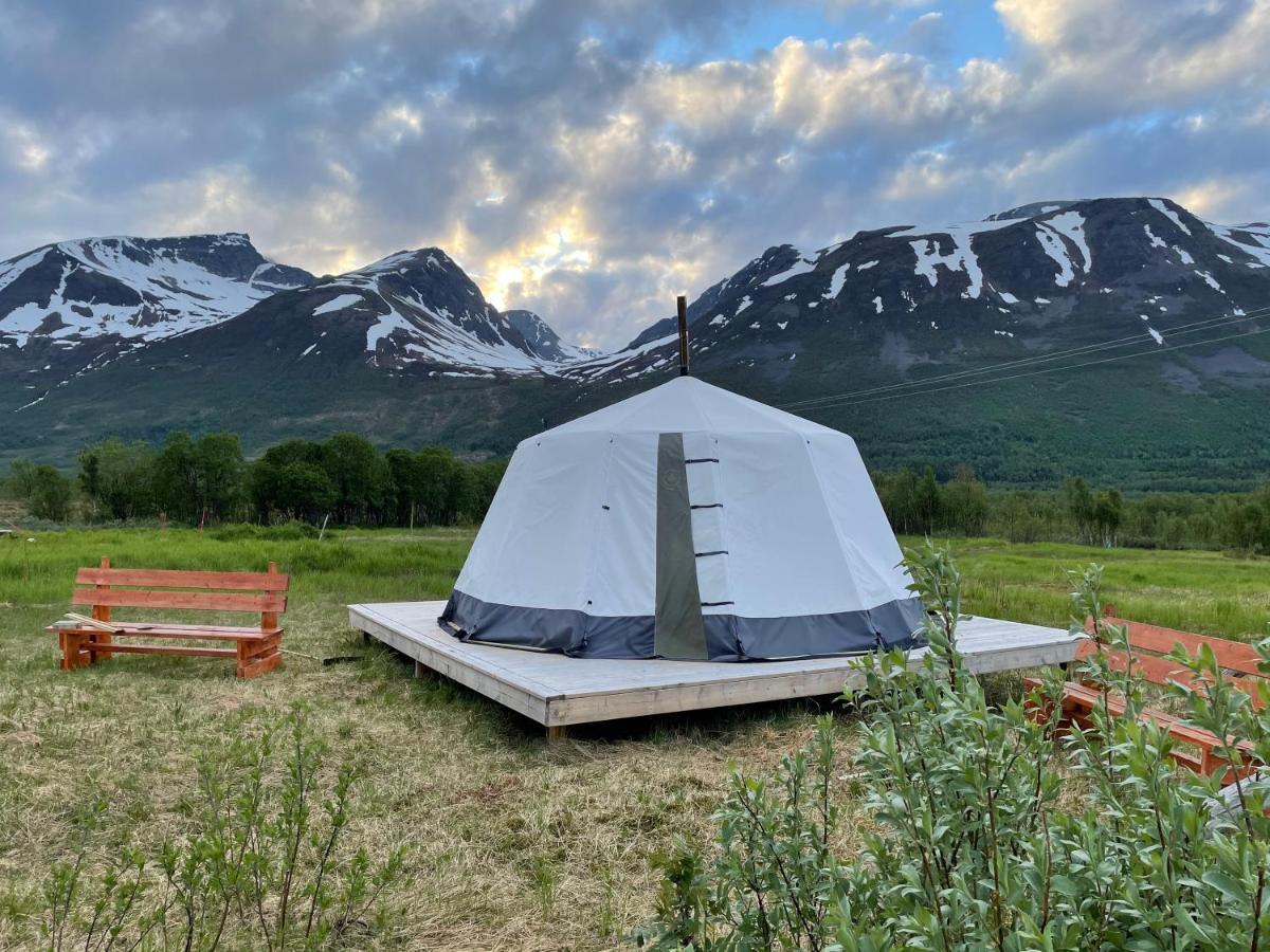 Luxuszelt Lapland Reindeer Farm