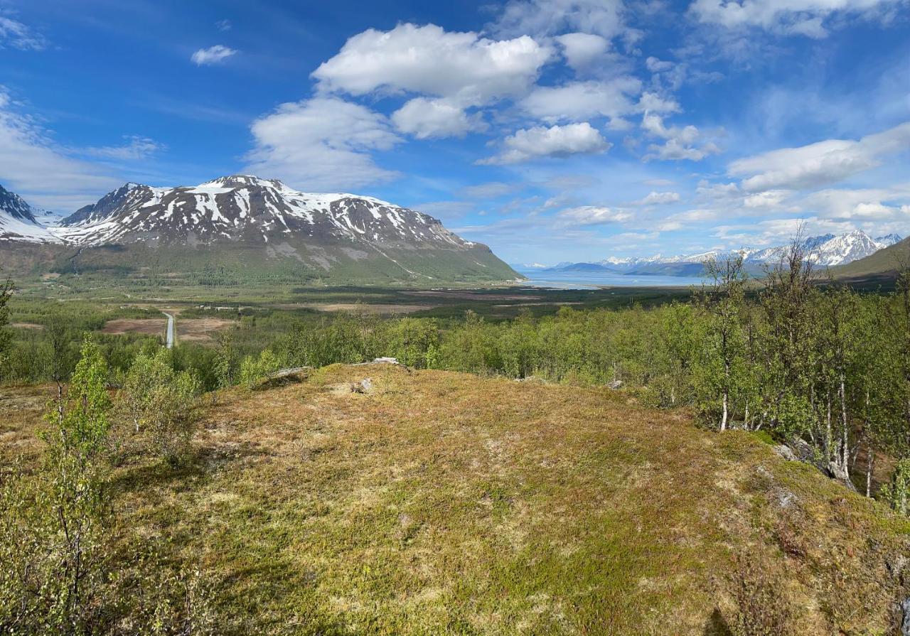 Lapland Reindeer Farm Luxuszelt *