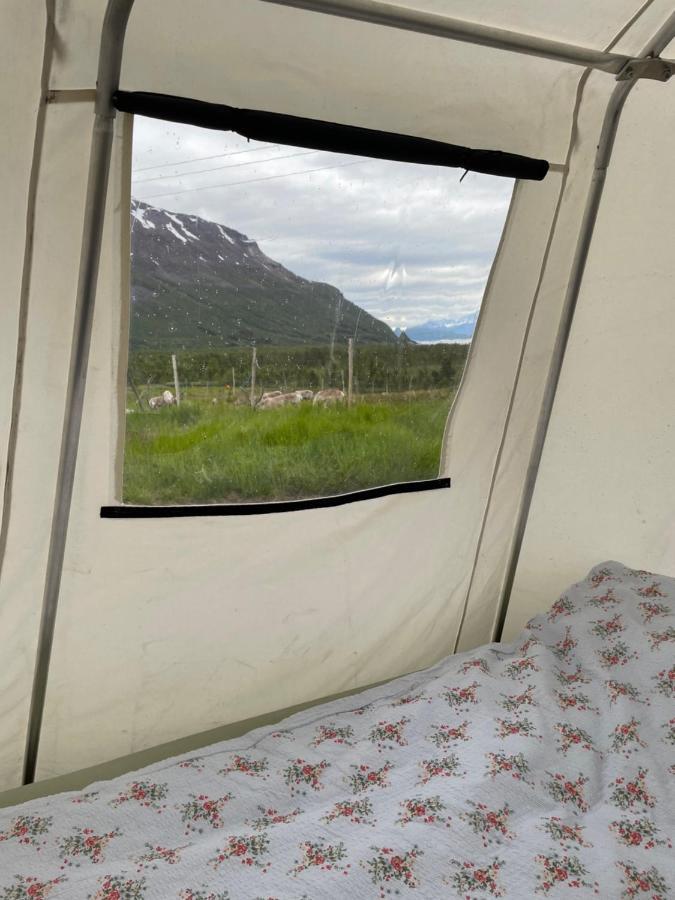 Lapland Reindeer Farm Luxuszelt