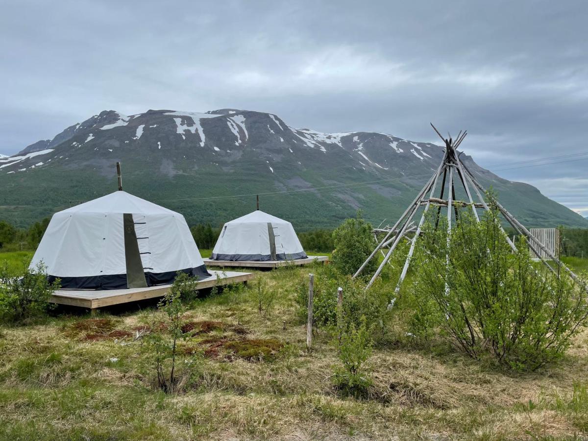 Lapland Reindeer Farm