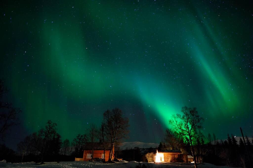 100 Years Old Norwegian Log House In Holiday home *