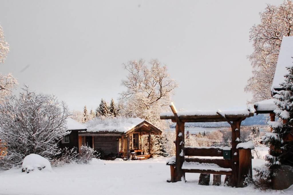 100 Years Old Norwegian Log House In Tromso