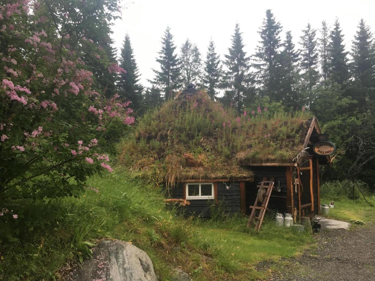 100 Years Old Norwegian Log House In Holiday home Tromso