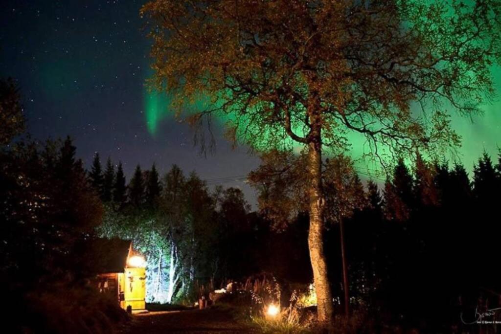 100 Years Old Norwegian Log House In *