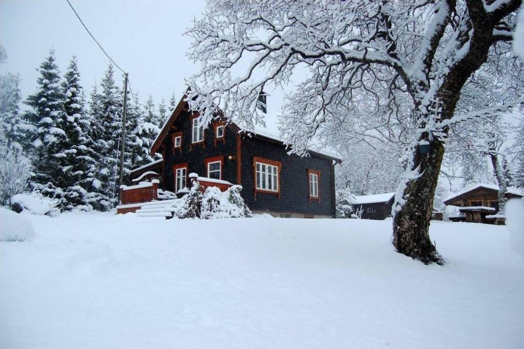 100 Years Old Norwegian Log House In * Tromso