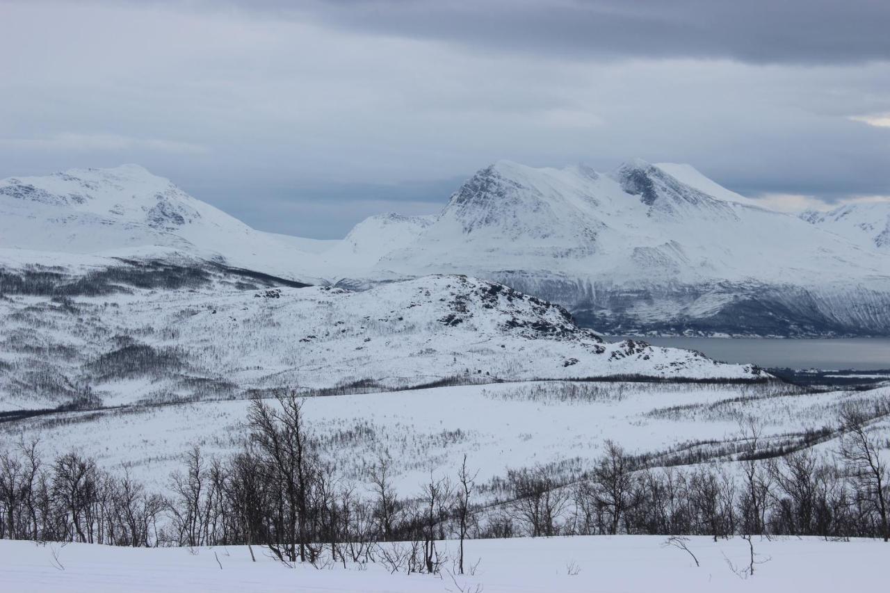 100 Years Old Norwegian Log House In Holiday home Tromso
