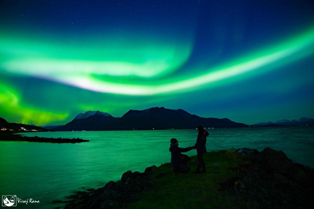 By The Sea - Luxury * Tromso