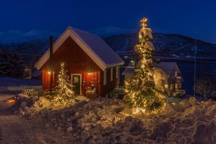 Chalet Kraemarvika Tromso