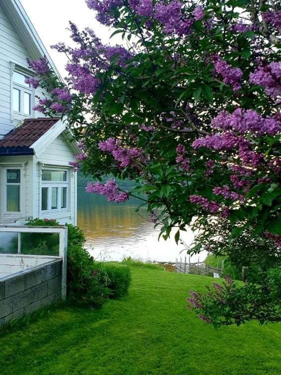 Kraemarvika Chalet *
