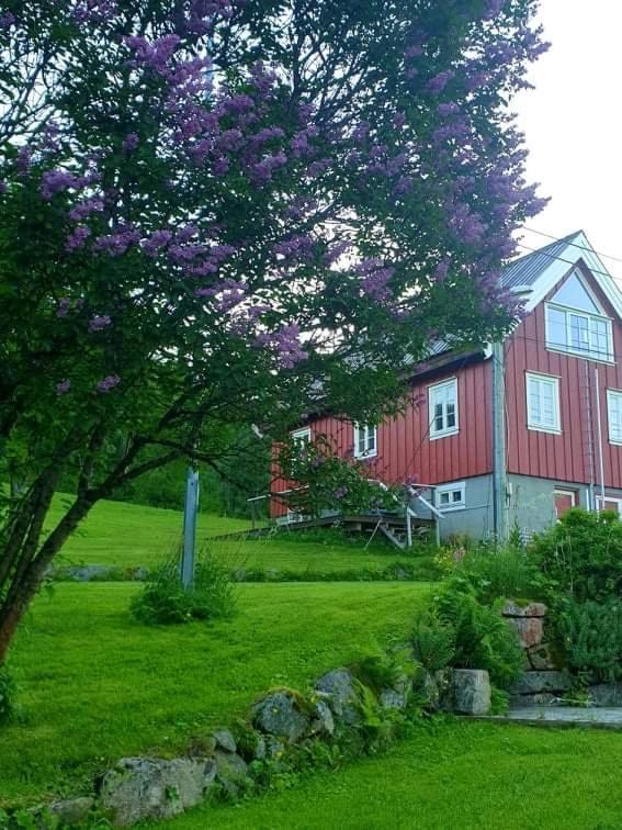 Kraemarvika Chalet Tromso