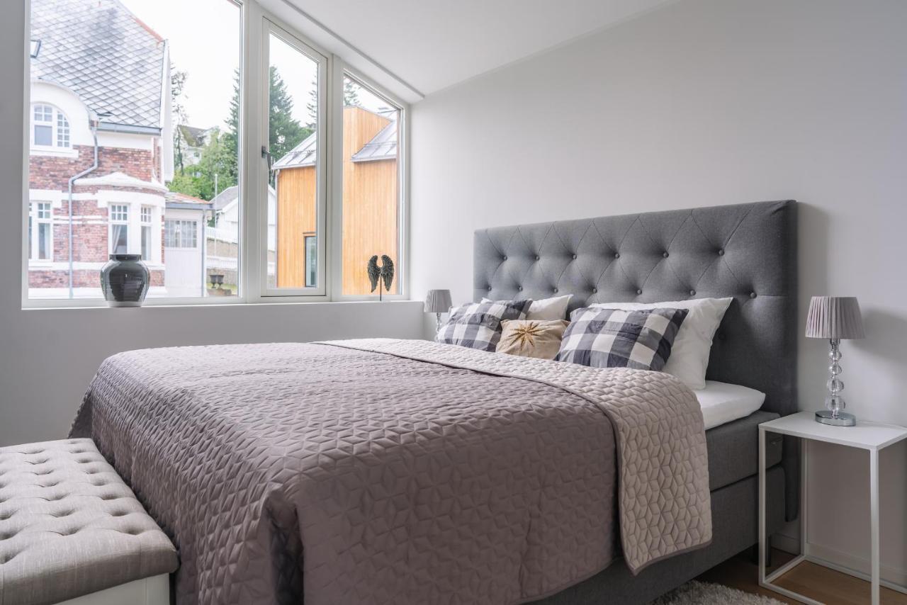 Modern In Plush Town
