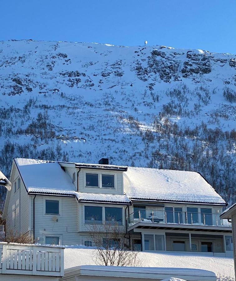 Polar Arctic View - Free Parking! Apartment