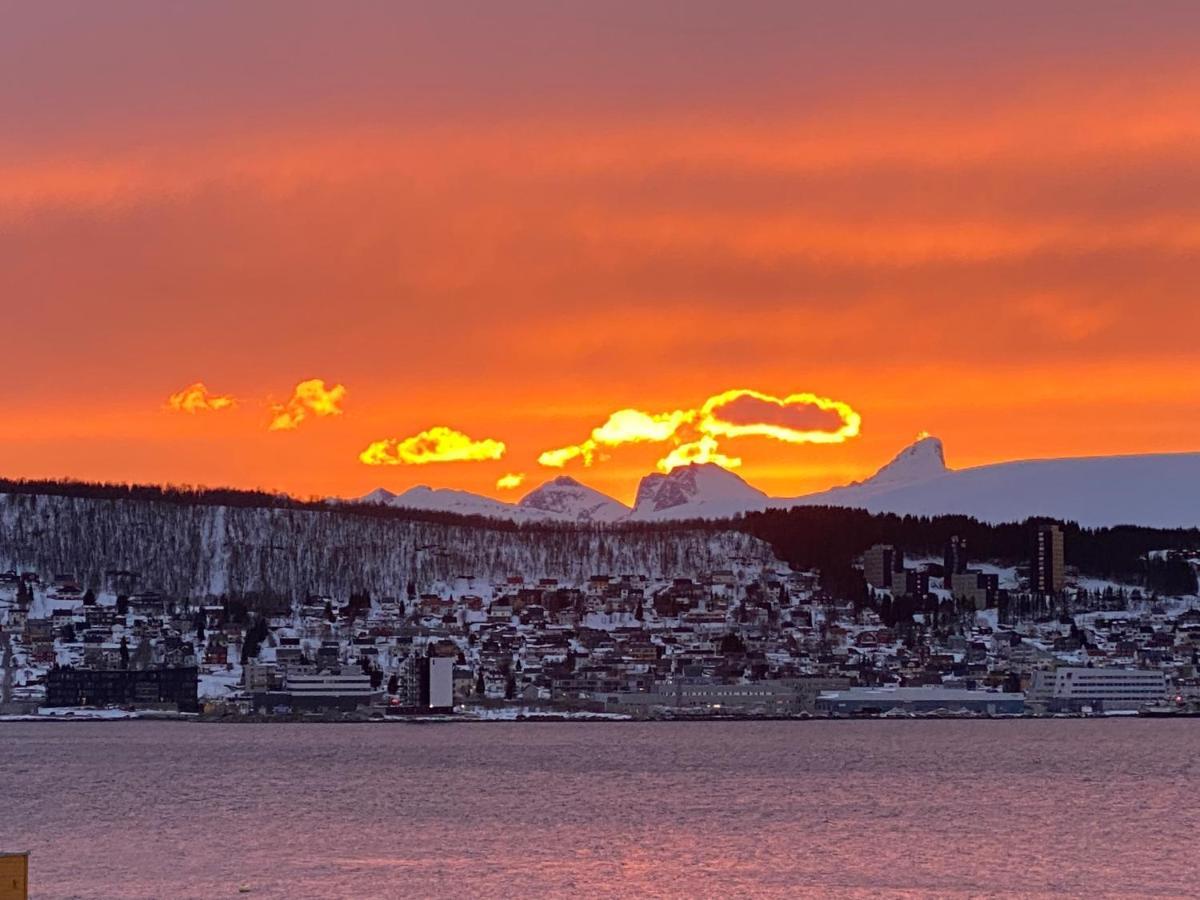 Polar Arctic View - Free Parking! Apartment Tromso