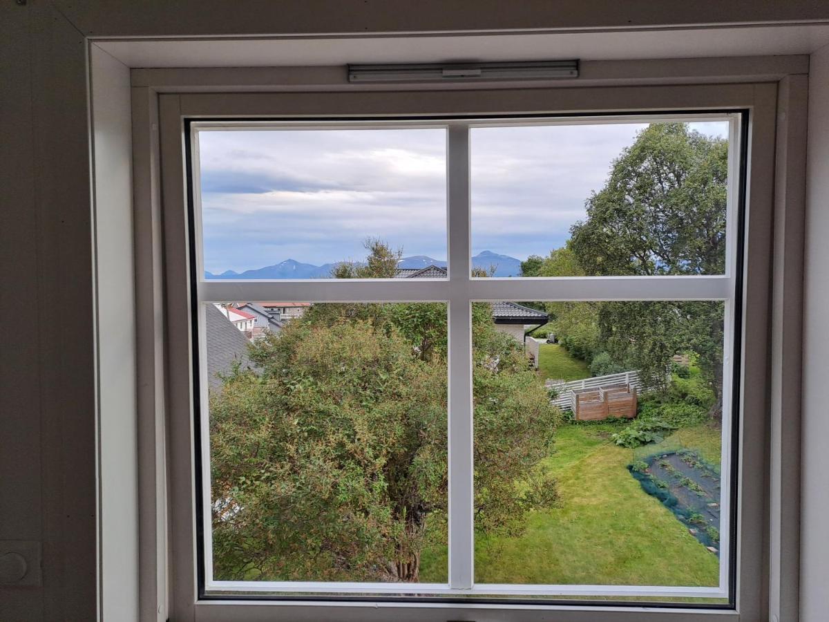 Warm And Cozy With Panoramic View Above The Center Apartment