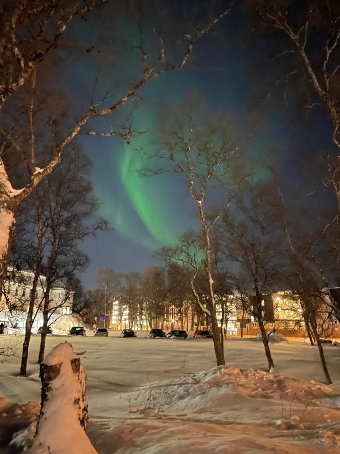 Villa Classic With A Big Sauna Tromso