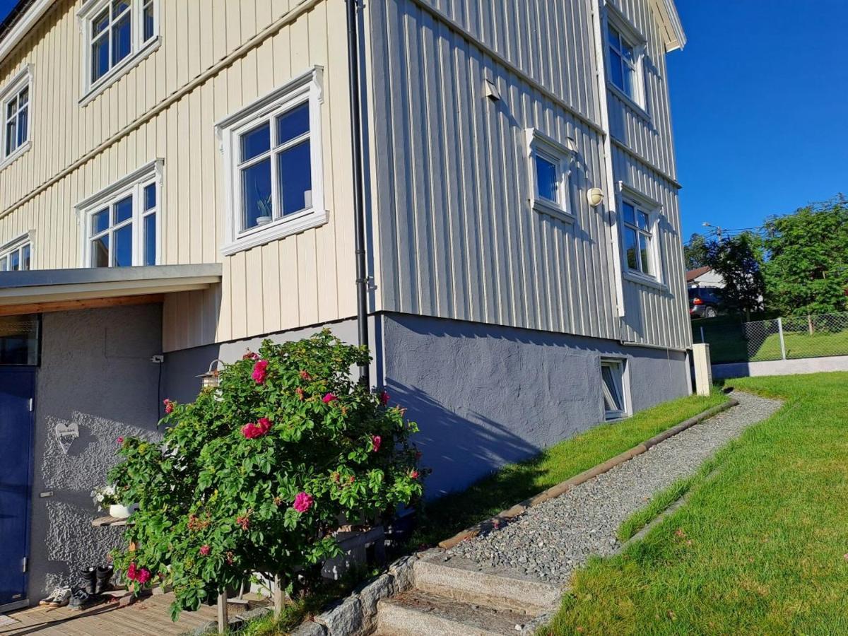 Warm And Cozy With Panoramic View Above The Center * Tromso