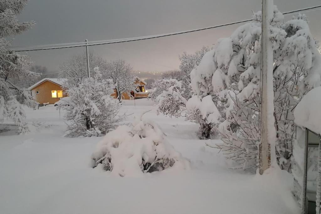 Spacious House In Tromso, Perfect For Groups Of Families, Tourists Or Workers *