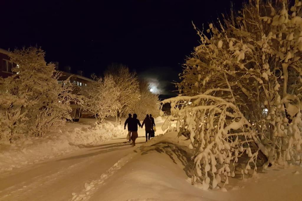 Spacious House In Tromso, Perfect For Groups Of Families, Tourists Or Workers