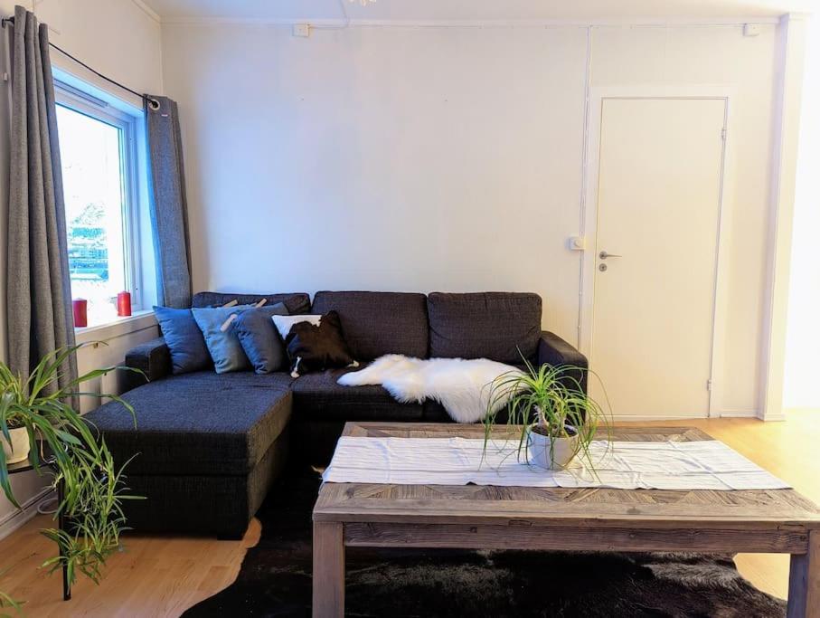 Apartment And Quiet In Centre