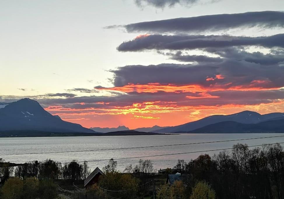 Liten Kjellerleilighet. Landlig Rolig Omrade. * Tromsø