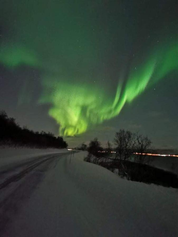 Gasthof Aurora In Shared Nr2 We Are Doing Privet Northen Lights Trips, Reindeer Trip And Fjord Sommaroy Trip *