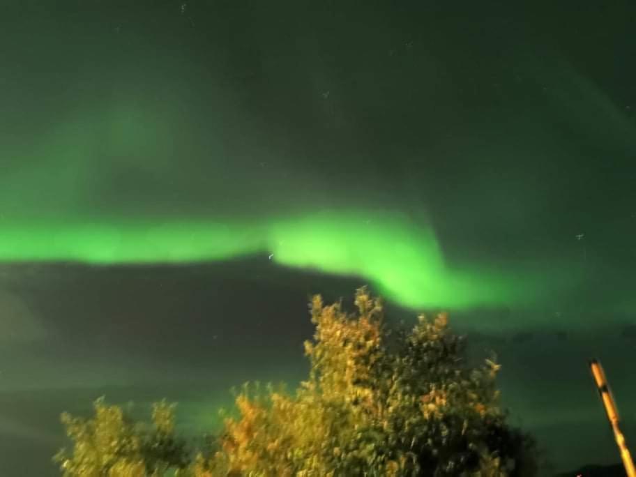 Gasthof Aurora In Shared Nr2 We Are Doing Privet Northen Lights Trips, Reindeer Trip And Fjord Sommaroy Trip