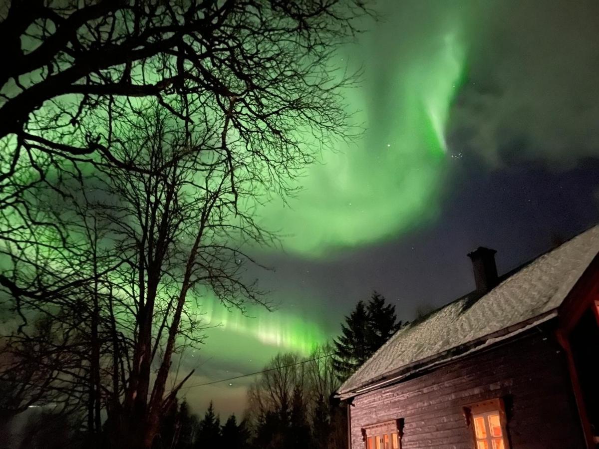 100 Years Old Norwegian Log House In