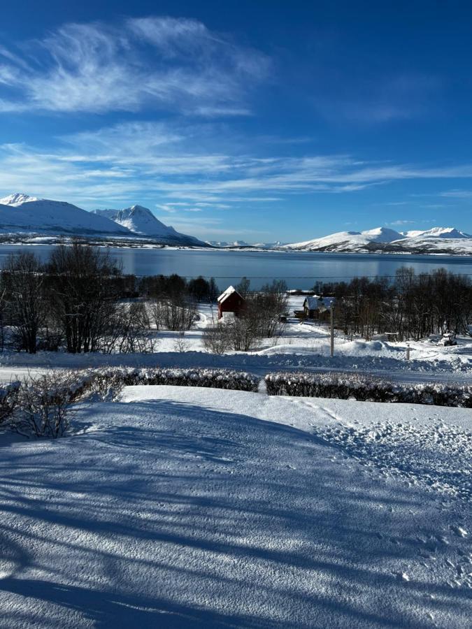 Appartement Liten Kjellerleilighet. Landlig Rolig Omrade.